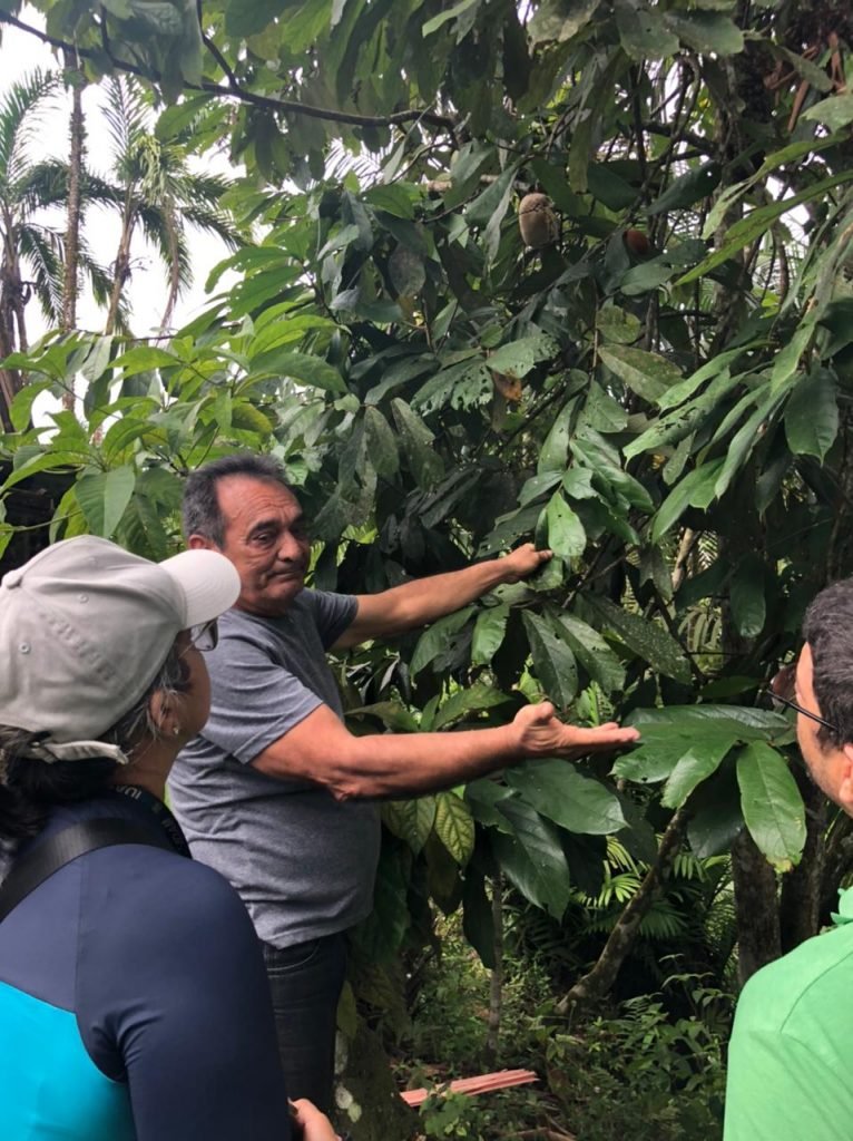 Produtores rurais cuidando da plantação - (Foto: Arquivo/Idam)