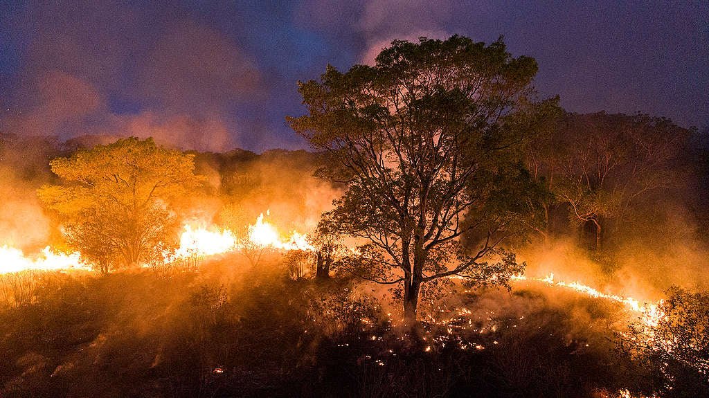 focos de incêndios e queimadas no Amazonas