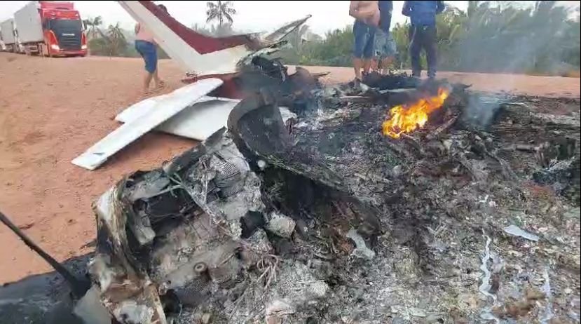 Destroços do avião após queda na BR-319 (Foto: Reprodução)